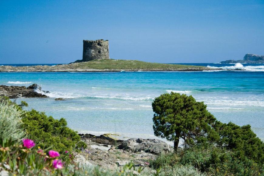 Апартаменти Vacanze Sardegna Санта-Тереза-Галлура Екстер'єр фото